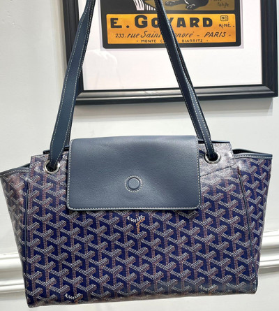 고야드 루에트 PM 블랙 숄더백