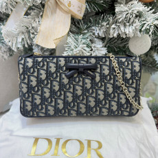 디올 프롬나드 체인 파우치